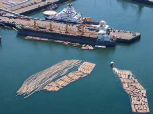 https://www.ajot.com/images/uploads/article/port-of-everett-lumber.jpg