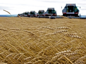 https://www.ajot.com/images/uploads/article/russia-wheat.jpg