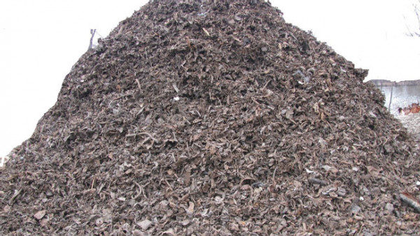 https://www.ajot.com/images/uploads/article/shredded_scrap_steel.jpg