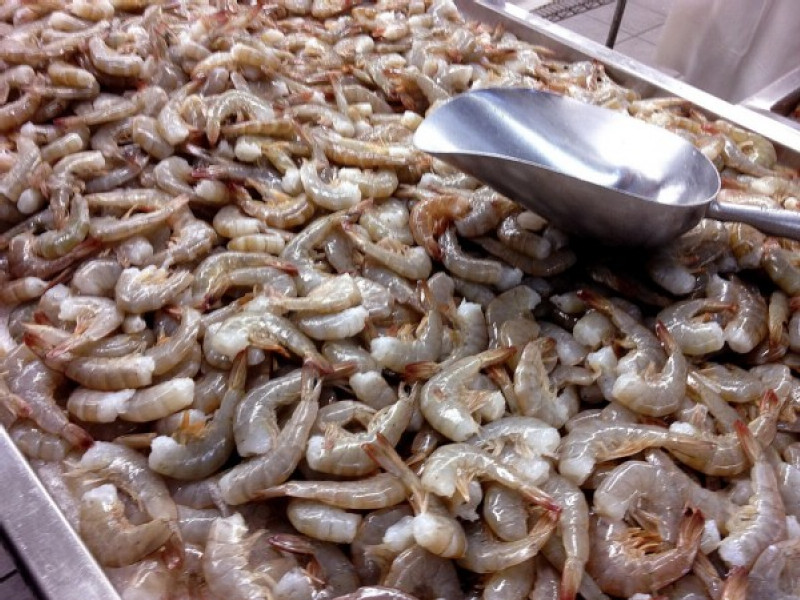 Saudi Arabia Is Shipping 6,000 Tons of Shrimp a Week to China