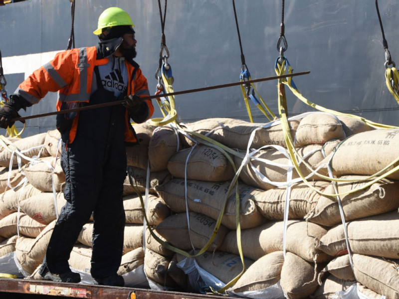 South Jersey Port opens cocoa bean season to feed America’s chocolate craving