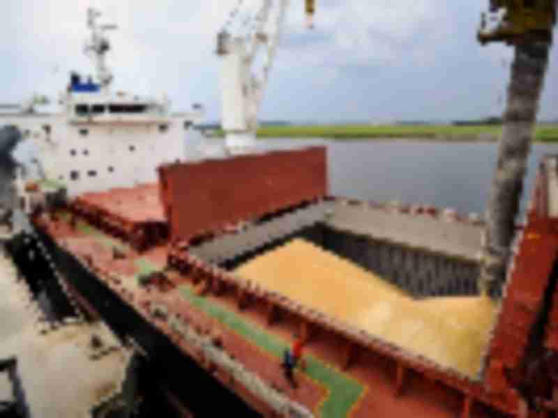 China to cancel more US soy shipments as more tariffs loom