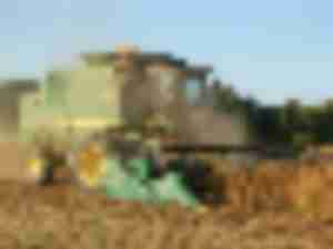 https://www.ajot.com/images/uploads/article/soybean_crop_harvester.jpg