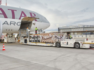 https://www.ajot.com/images/uploads/article/swissport-qatar-Loading_outside.jpg