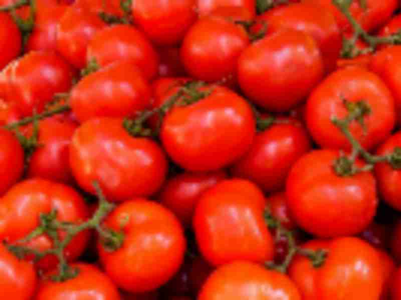 U.S. DoC finalizes suspension agreement on fresh tomatoes from Mexico