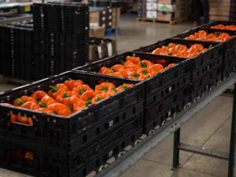 U.S. Department of Commerce terminates suspension agreement on fresh tomatoes from Mexico