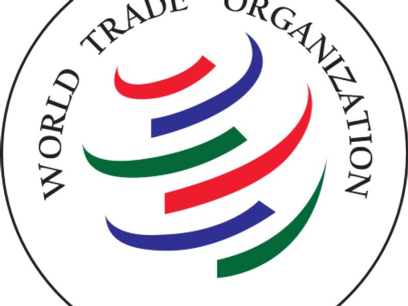 Trade chiefs discuss WTO reform, but China and US won’t join