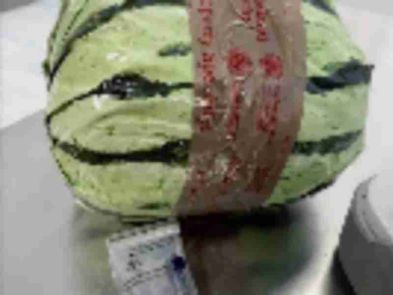 CBP officers discover $5 million worth of methamphetamine disguised as watermelons