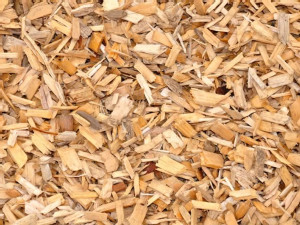 https://www.ajot.com/images/uploads/article/wood-chips.jpg