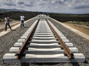 https://www.ajot.com/images/uploads/article/African_rail.jpg