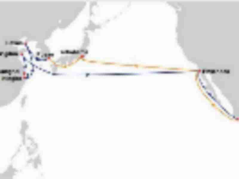 OOCL launches Transpacific Latin Pacific 5 (TLP5) to offer express linkage between Asia and Mexico