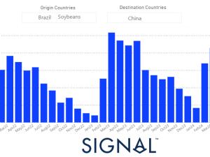 Signal Ocean: Dry Weekly Market Monitor for Week 27, 2024