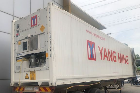 Yang Ming Marine Transport Corporation shipped Taiwanese custard apples to Malaysia using Daikin Active CA container technology