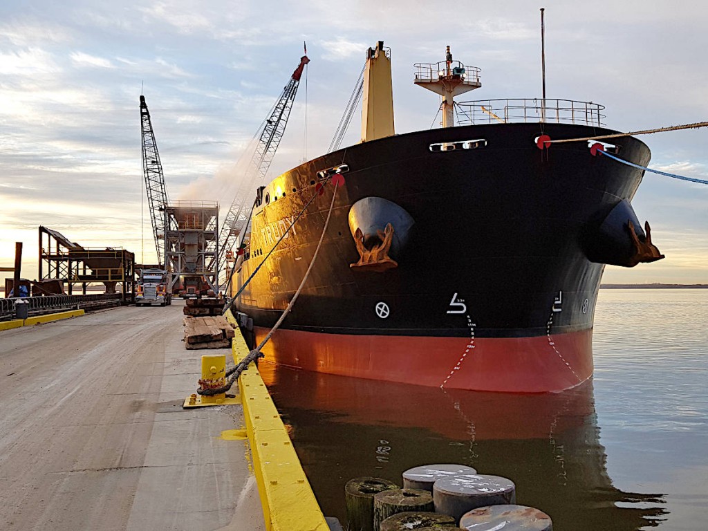 Bulk carrier M/V Trudy, part of MINSHIP’s managed fleet