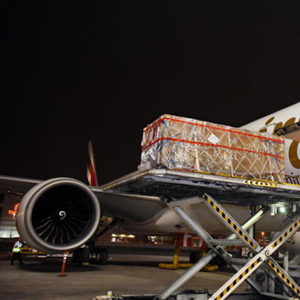 Emirates SkyCargo transports 2,000 year old historical artefact