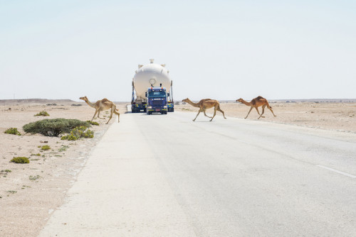 https://www.ajot.com/images/uploads/article/700_km_journey_with_camels.jpg