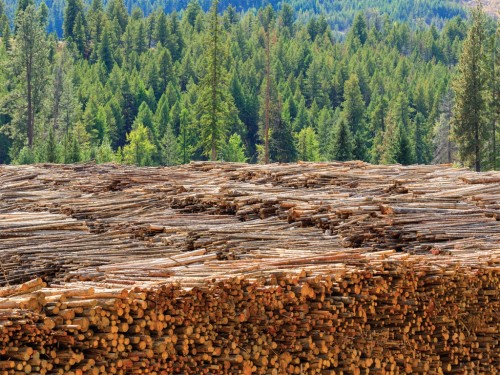 https://www.ajot.com/images/uploads/article/757-canada-lumber.jpg