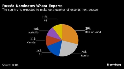 https://www.ajot.com/images/uploads/article/Russia_wheat.jpg