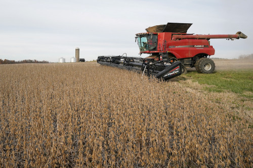 https://www.ajot.com/images/uploads/article/SOYBEANS.JPG