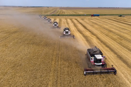 https://www.ajot.com/images/uploads/article/Wheat_harvesting.jpg