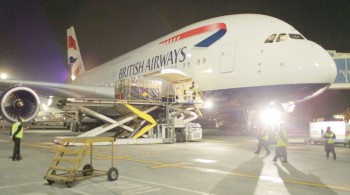 https://www.ajot.com/images/uploads/article/british-airways-cargo-rhinos.jpg