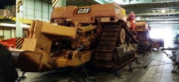 https://www.ajot.com/images/uploads/article/delta-caterpillar-1.jpg