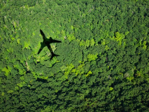 https://www.ajot.com/images/uploads/article/latam_plane_shadow_over_forest_Avi%C3%B3n.jpg