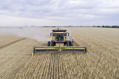 https://www.ajot.com/images/uploads/article/wheat_harvest.jpg