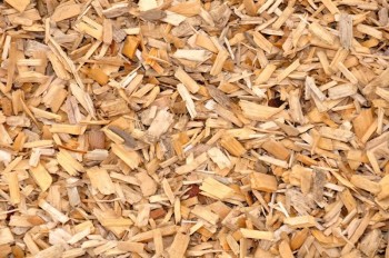 https://www.ajot.com/images/uploads/article/wood-chips.jpg