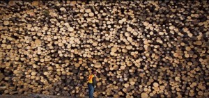 Wood Resource Quarterly: ﻿The Global Forest Industry this Quarter