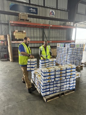 American Airlines Cargo moves record-breaking volumes of mangoes this summer