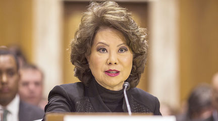 U.S Transportation Secretary Chao