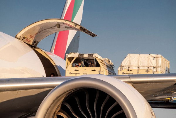 Emirates SkyCargo is no stranger to transporting horses on its freighter flights. Image courtesy: FEI/Dirk Caremans; FEI/Tori Repole