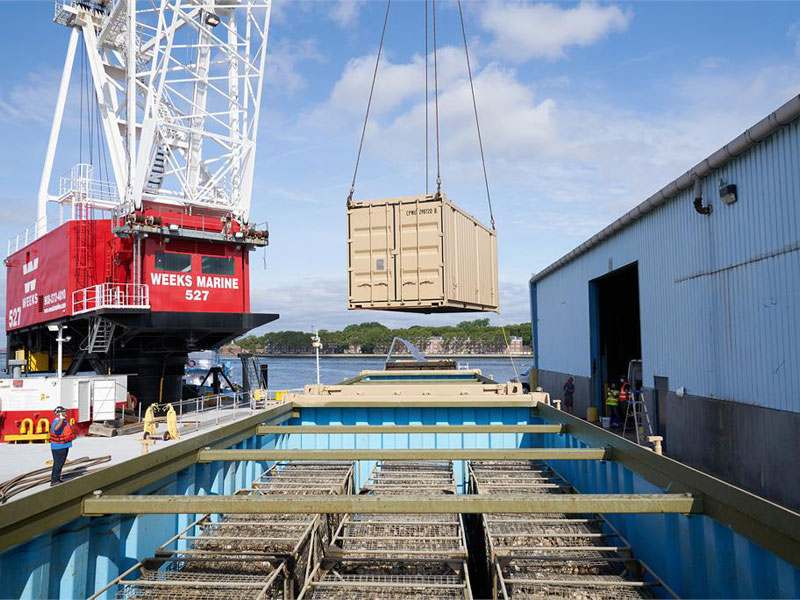 Photo by Douglas Lyle Thompson, courtesy of the Billion Oyster Project